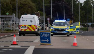 Two dead and four injured in two-car crash in Donegal; female pedastrian (20s) killed after being struck by car in south Dublin