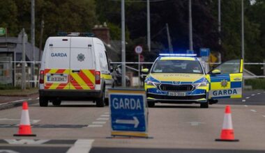 Two dead and four injured in two-car crash in Donegal; female pedastrian (20s) killed after being struck by car in south Dublin