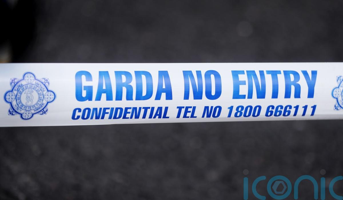 Man in 20s dies in Donegal crash