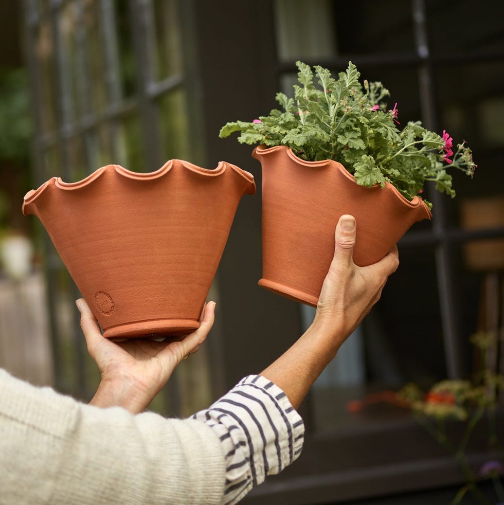 Eden Terracotta Pot Eden Terracotta Pot