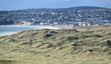 Man who raped boy (16) on Waterford beach after meeting him on dating app jailed for four years
