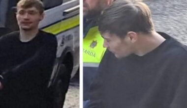 'Two halves of one person' – twins killed mother's partner after he became abusive towards her
