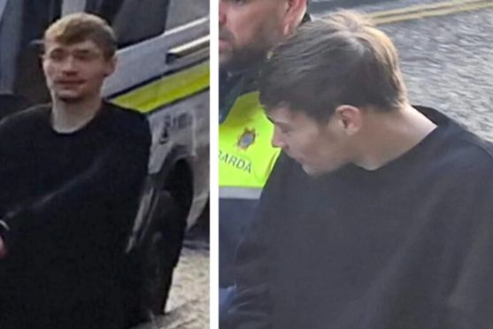 'Two halves of one person' – twins killed mother's partner after he became abusive towards her