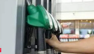 What India’s new E22 to E30 Petrol variants mean for fuel prices, vehicles and ethanol use