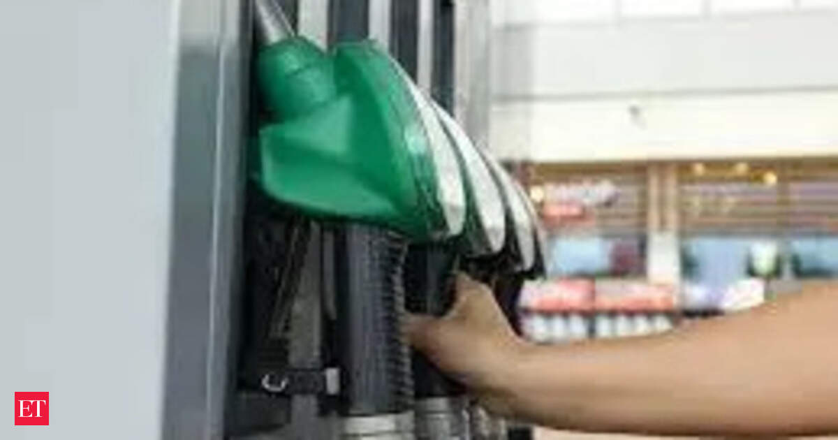 What India’s new E22 to E30 Petrol variants mean for fuel prices, vehicles and ethanol use