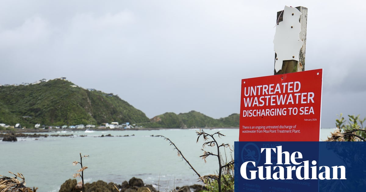 ‘How are we going to survive this?’ Wellington faces six-month wait to halt sewage spill | New Zealand