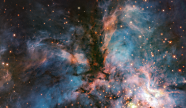 A bird of prey sails away in nebula RCW 36