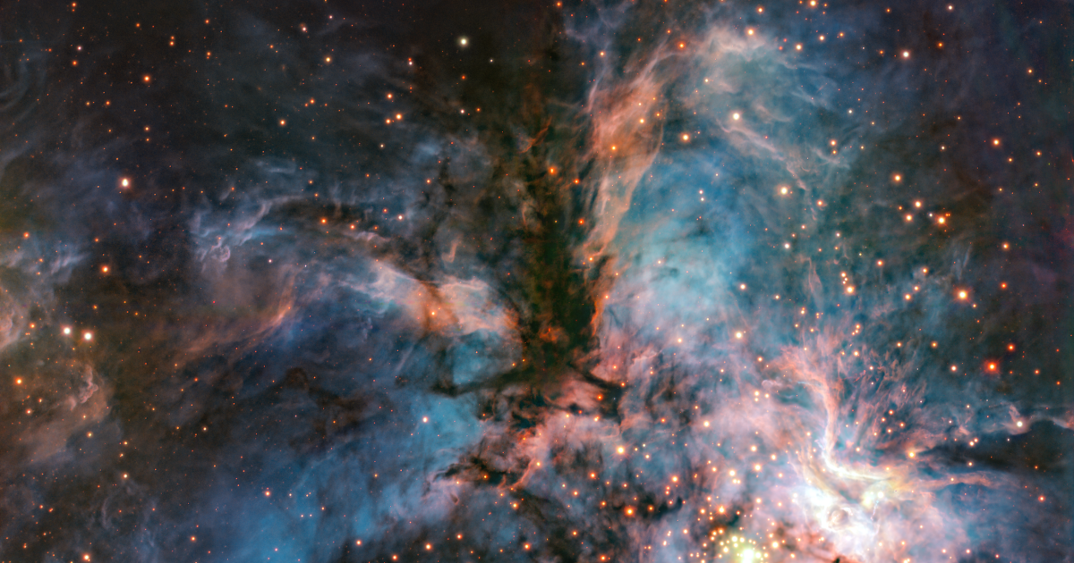 A bird of prey sails away in nebula RCW 36