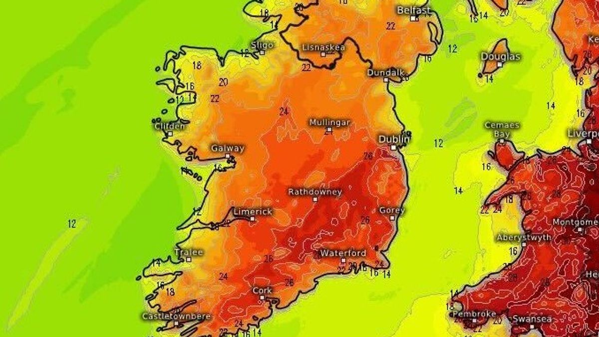 Irish Mirror
