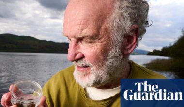 ‘It’s an obsession’: one man and his family on a mission to save Europe’s glutinous snail | Wildlife