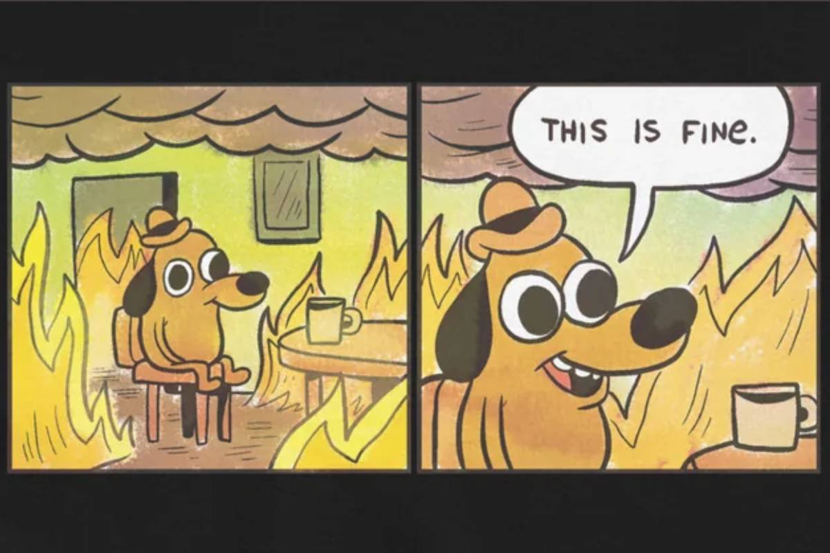 O PIB e o cão do meme do incêndio - 29/05/2026 - Vinicius Torres Freire