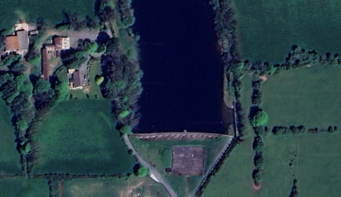 Cork Beo