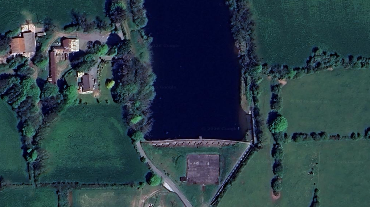 Cork Beo