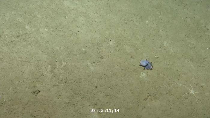 "Is that a cute little guy, or what?"
