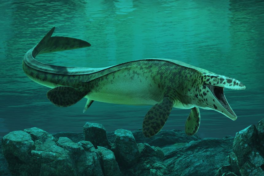 A reconstruction depicts Tylosaurus rex in the Western Interior Seaway of North America during the Cretaceous Period.