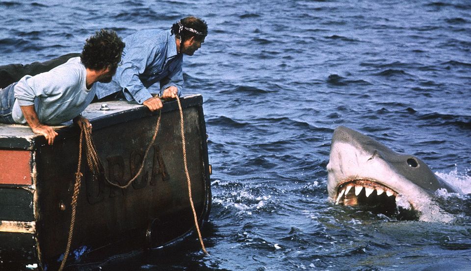Jaws
