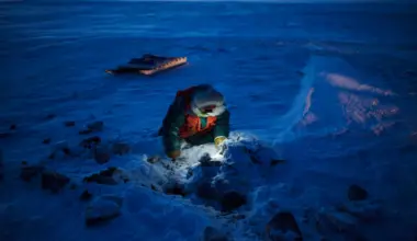 A Canadian Ranger in a parka digs up caribou meat, buried there months earlier to ferment in the cold earth. Behind him sits a komatik, a sturdy but flexible sled held together with bindings rather than screws.