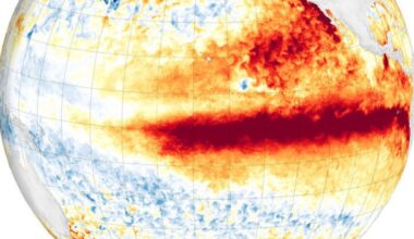 Here's What a Super El Niño Could Mean for the Climate Crisis