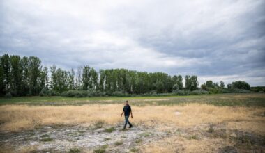 China and the Hungarian Water Crisis