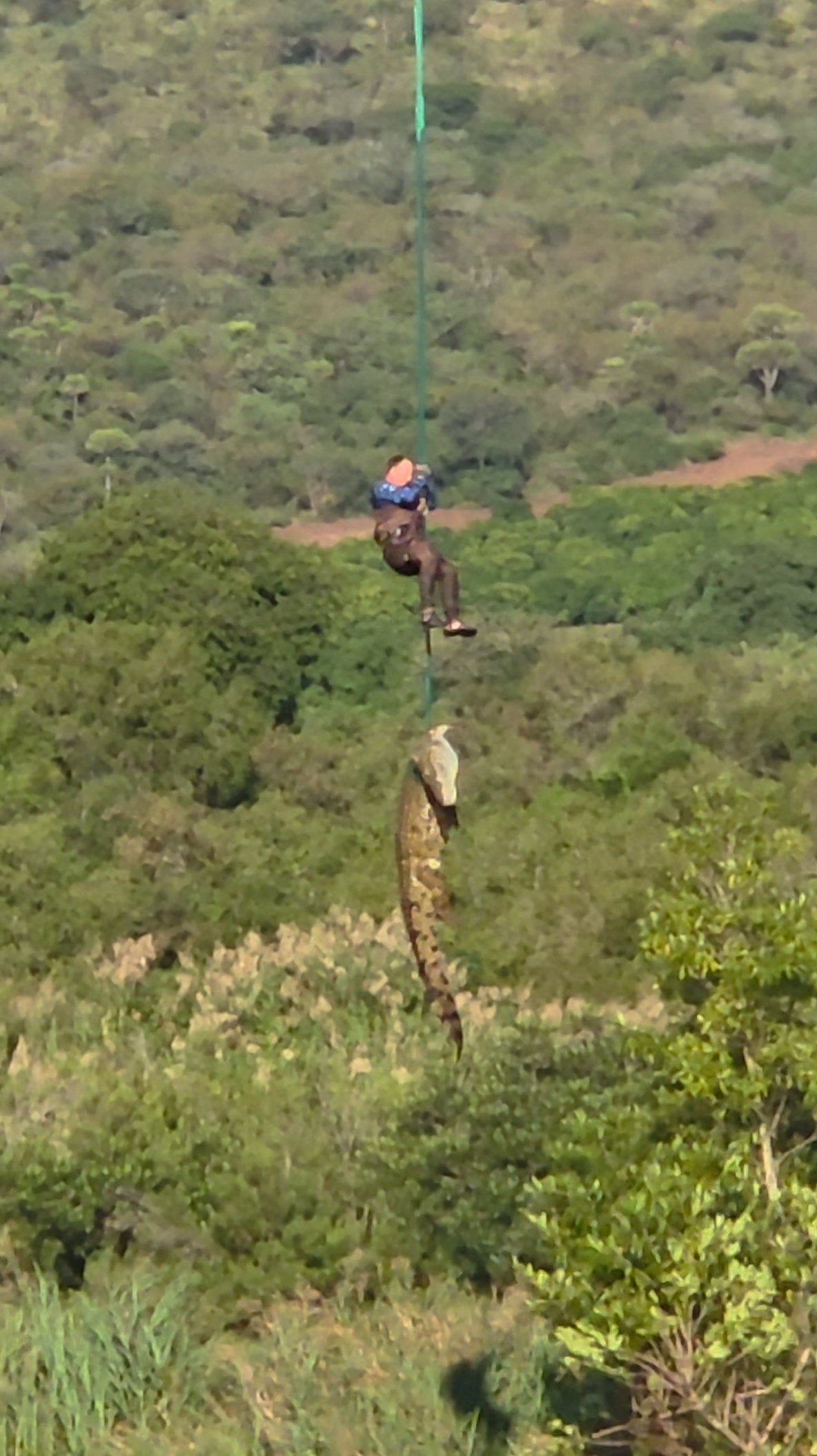 A South African police officer is airlifted while removing a euthanised crocodile