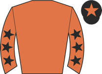 Horse silk