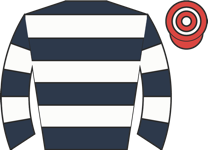 Horse silk