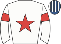 Horse silk