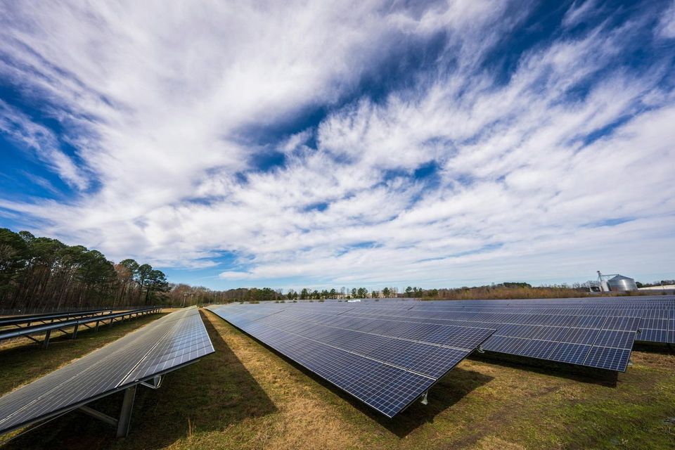A stock image of a solar farm.