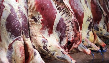 Where are base quotes for finished cattle this week?