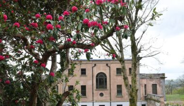 How one couple brought an Irish country house back from the brink – The Irish Times