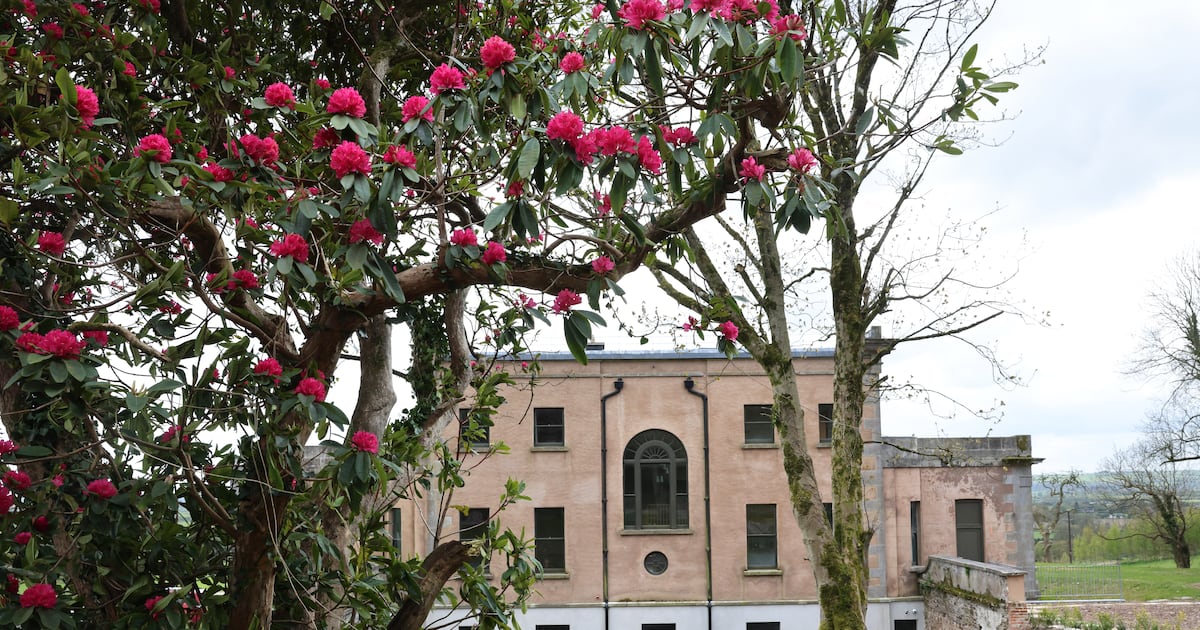 How one couple brought an Irish country house back from the brink – The Irish Times
