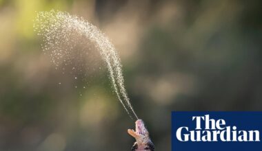 Risk of snakebites increasing as reptiles adapt to changing world, says study | Snakes