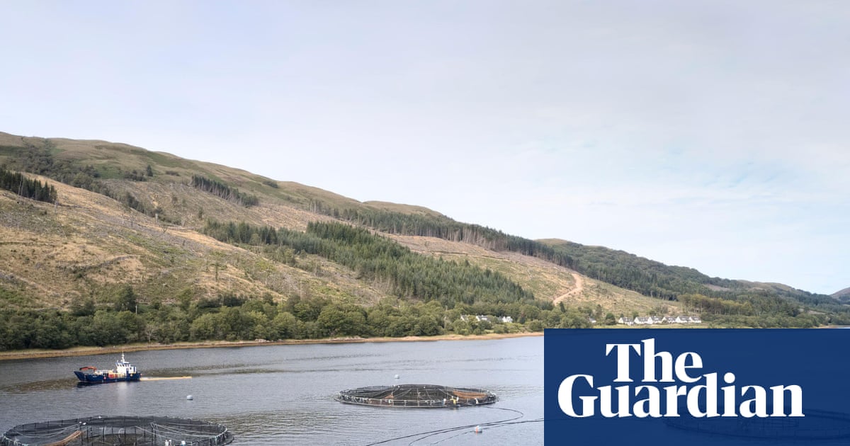 Fish farms and pollution in Scotland | Fish