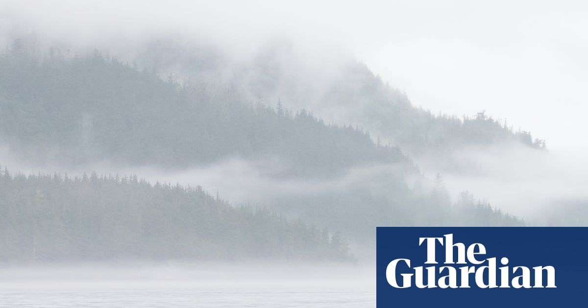 Orcas could be casualty in Carney’s push for pipeline, environmental groups fear | Canada
