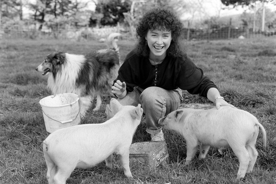 Gráinne Uí Mhaitiú feeding piglets on her Co Wicklow farm in May, 1993. Photo: RTÉ