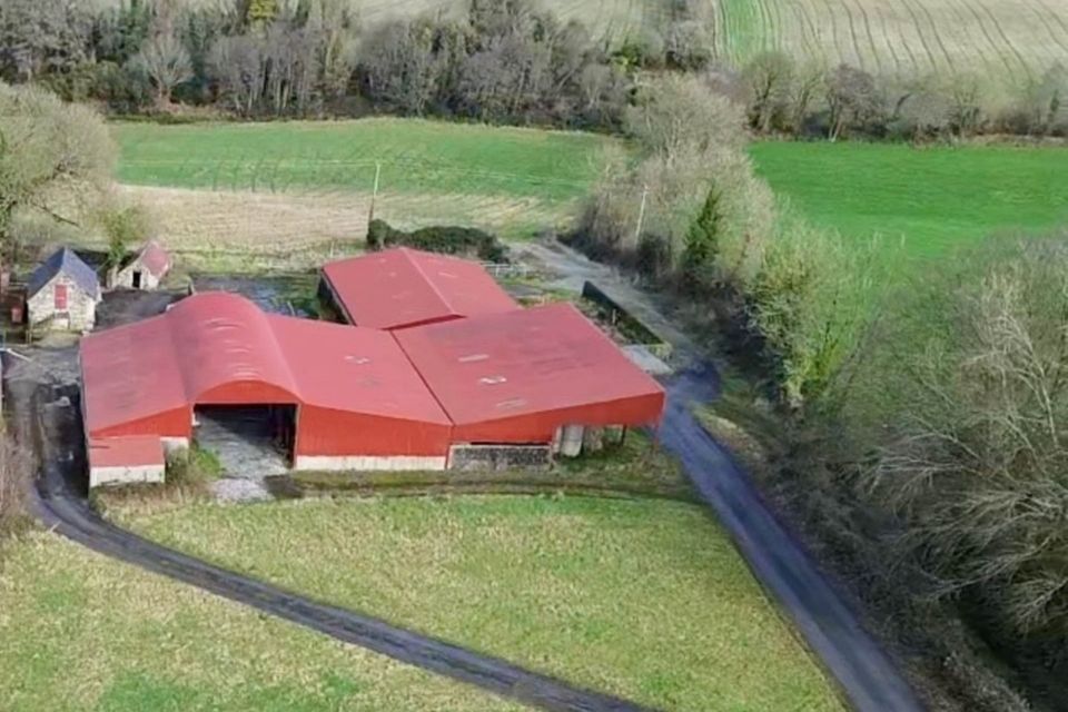 One of the auction lots in Rathnure included sheds and outbuildings.
