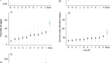 Genetic variation in transgenerational immune priming and its association with fecundity and body mass in the mealworm beetle Tenebrio molitor
