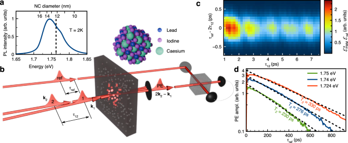 Quantum beats of exciton-polarons in CsPbI3 perovskite nanocrystals