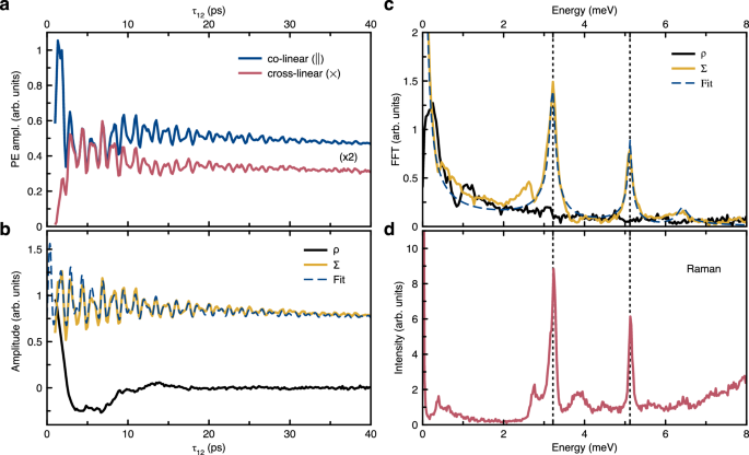 Fig. 2: Quantum beats of exciton-polarons.