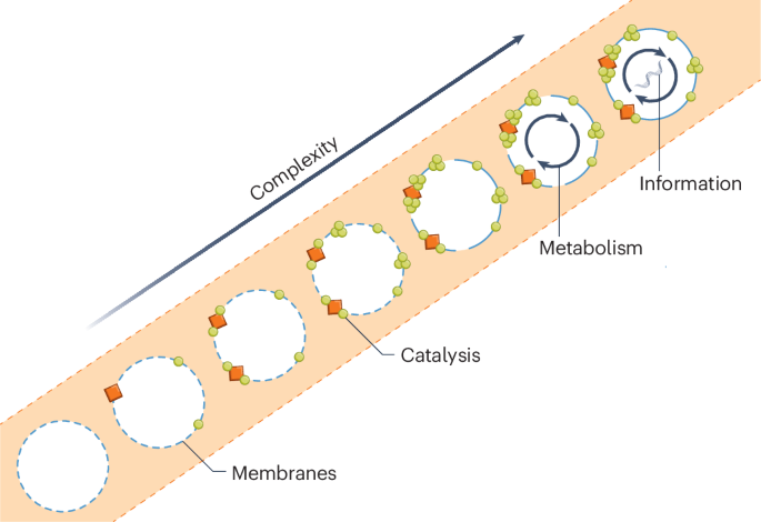 Protobiosignatures in the framework of early life detection