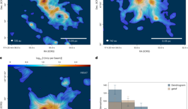 The dominance of turbulence over magnetism in the formation of massive star cluster seeds