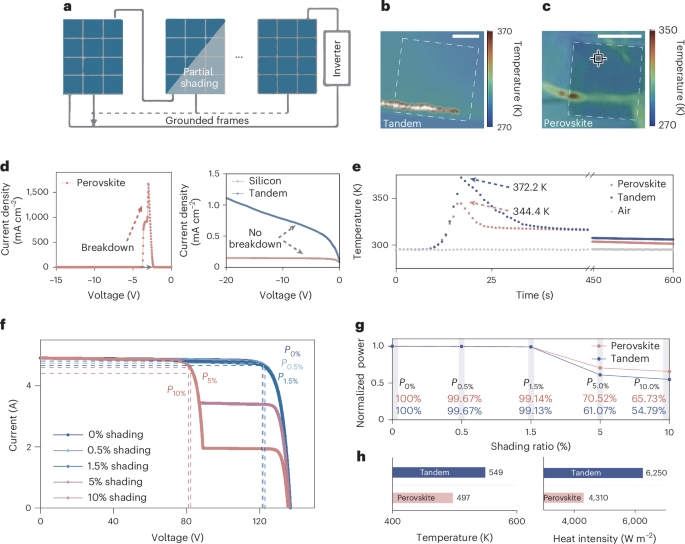 Improving the stability of monolithic perovskite/silicon tandems against reverse-bias stress using graded dielectric layers