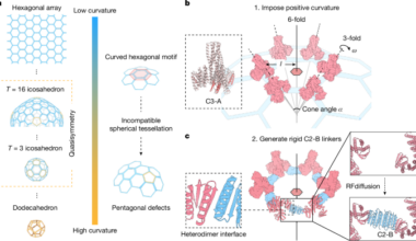 De novo design of quasisymmetric two-component protein cages