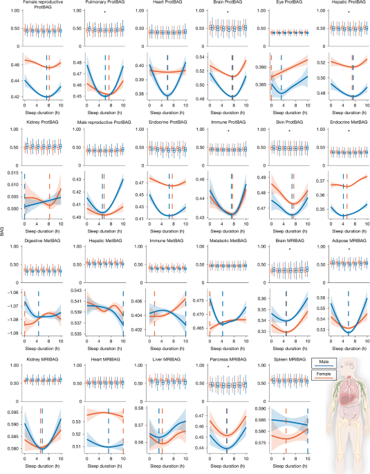Sleep chart of biological ageing clocks in middle and late life