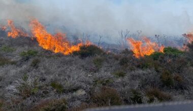 New gorse fire breaks out at Killiney Hill as visitors advised to keep away – The Irish Times