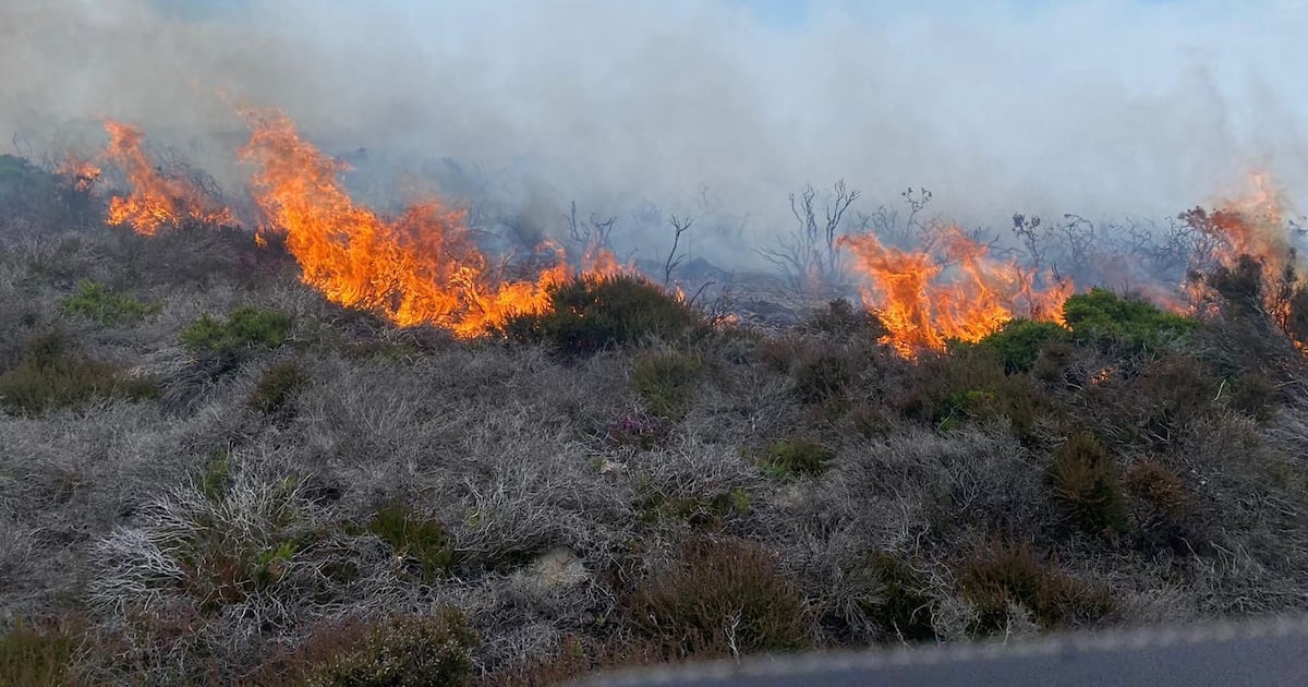New gorse fire breaks out at Killiney Hill as visitors advised to keep away – The Irish Times