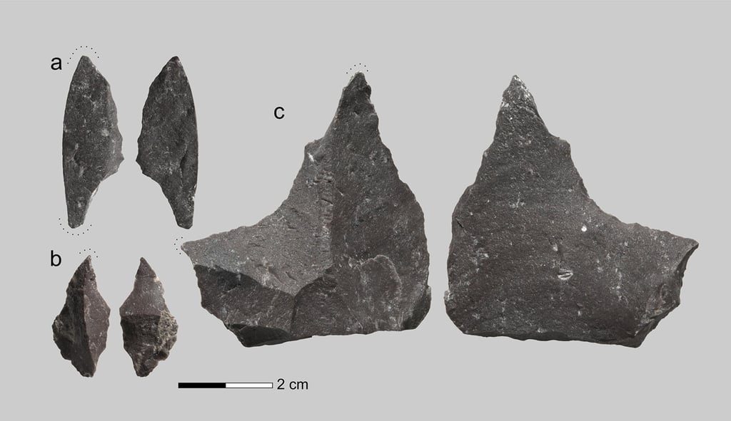 A collection of experimental tools crafted from local jasperoid raw material. Dotted lines illustrate the functional parts of these tools. Photo: journals.plos.org