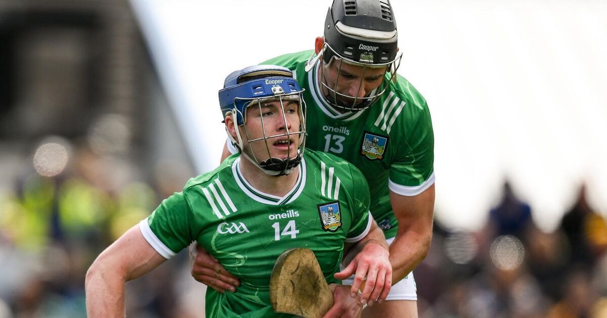 Clare and Limerick player ratings
