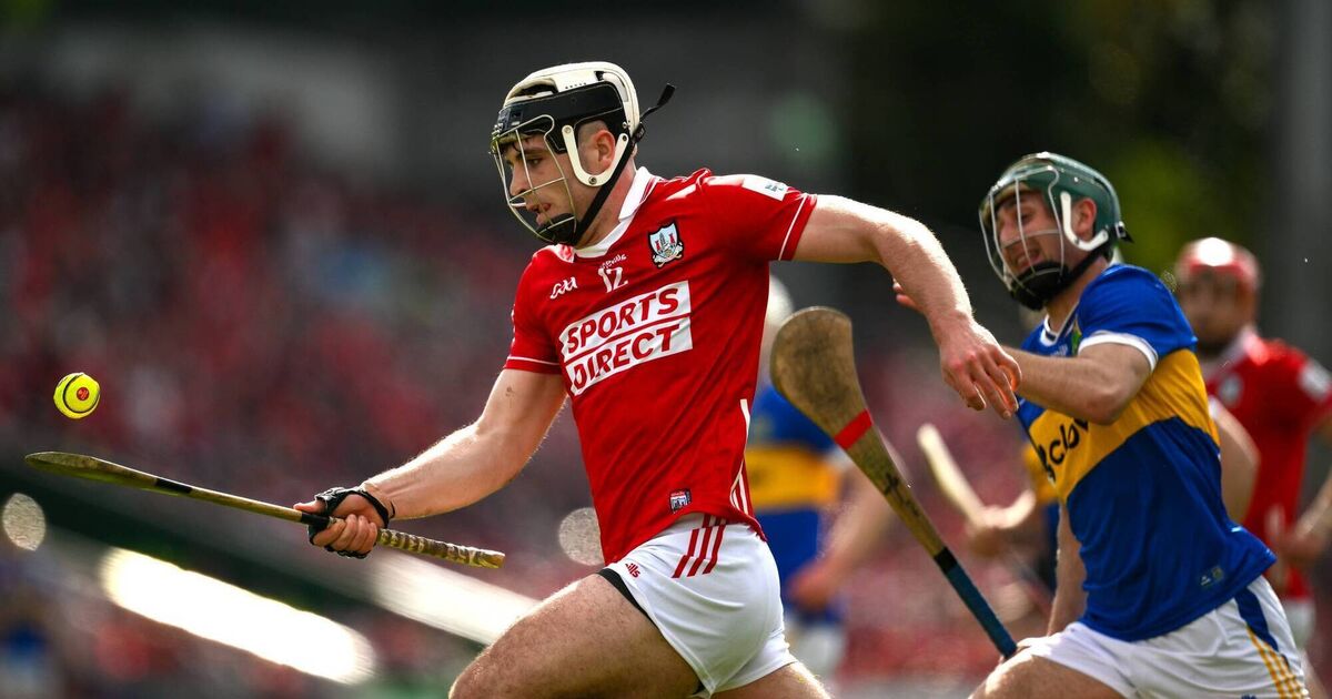 Cork U20 manager Noel Furlong delighted as Barry Walsh available for Munster semi-final