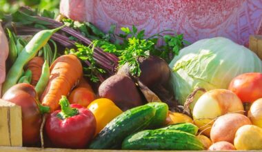 Ireland's food strategy needs a radical overhaul